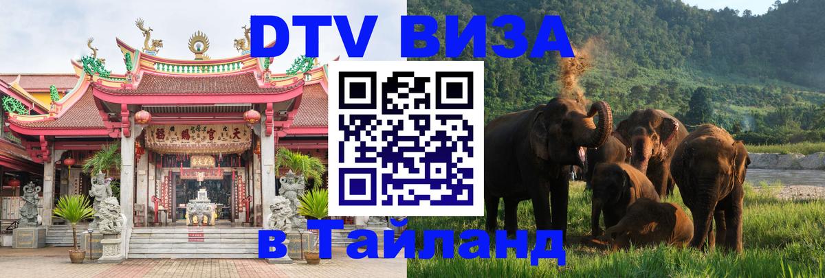 Сколько стоит DTV виза — актуальные цены, оформление даже без документов - 